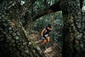 BIB: 
                            <button type="button" onclick="openModal(25392332)" class="btn btn-primary btn-sm float-right btn-popup" data-toggle="modal" data-target=".modal-high-quality">
                        <i class="fas fa-shopping-cart"></i> Add to Cart
                    </button>
                                            <button type="button" onclick="isThisMe(25392332, true)" class="btn btn-success btn-sm float-right btn-popup btn-isme hidden" data-toggle="tooltip" data-placement="bottom" title="นี่คือรูปของคุณใช่ไหม คลิกที่นี่เพื่อเอาเข้าอัลบั้ม">
                        <i class="fas fa-plus"></i> Add to album
                    </button>
                    <button type="button" onclick="isThisMe(25392332, false)" class="btn btn-warning btn-sm float-right btn-popup btn-isnotme hidden">
                        <i class="fas fa-ban"></i> Remove from album
                    </button>